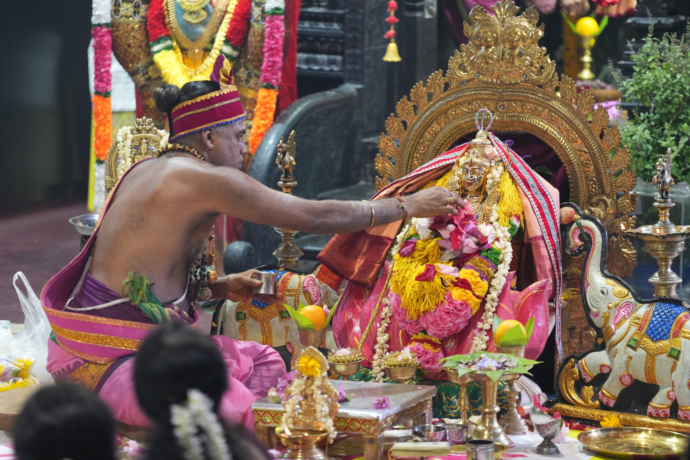 Varaluxumi Viratham 2026 photo