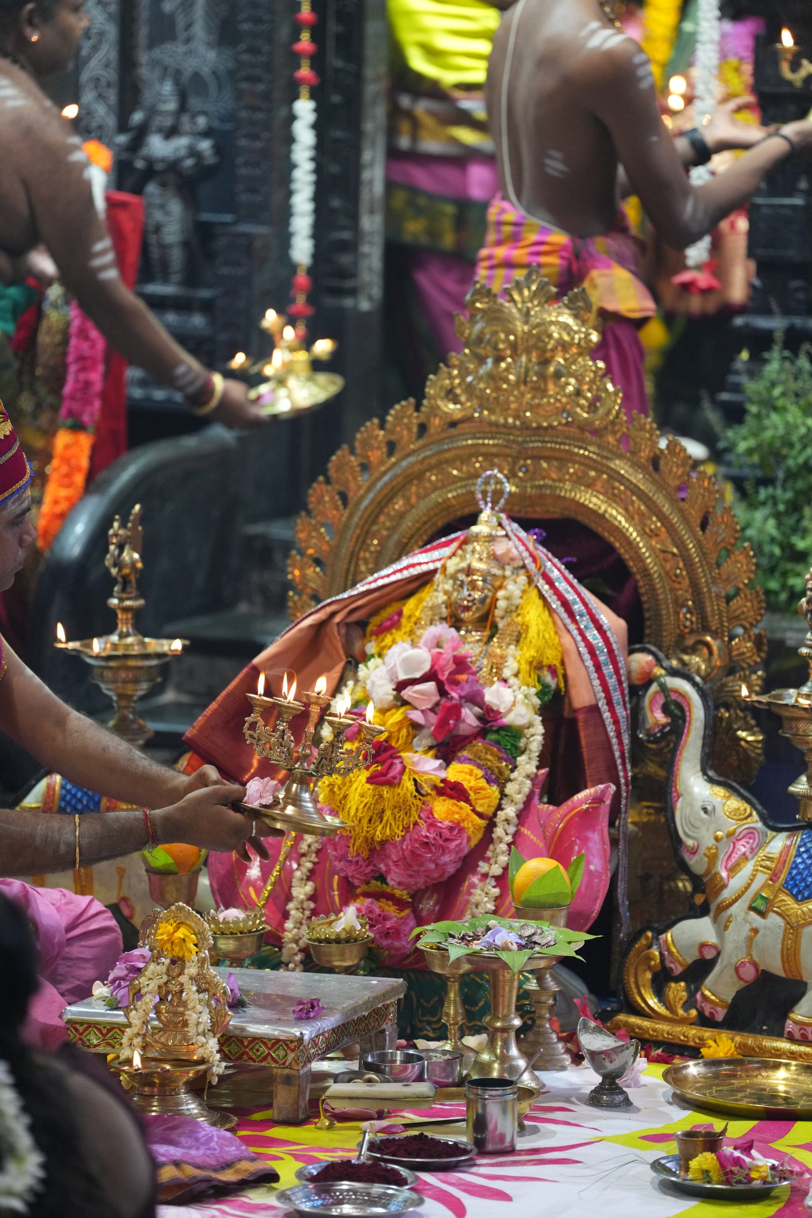 Varaluxumi Viratham 2026 photo
