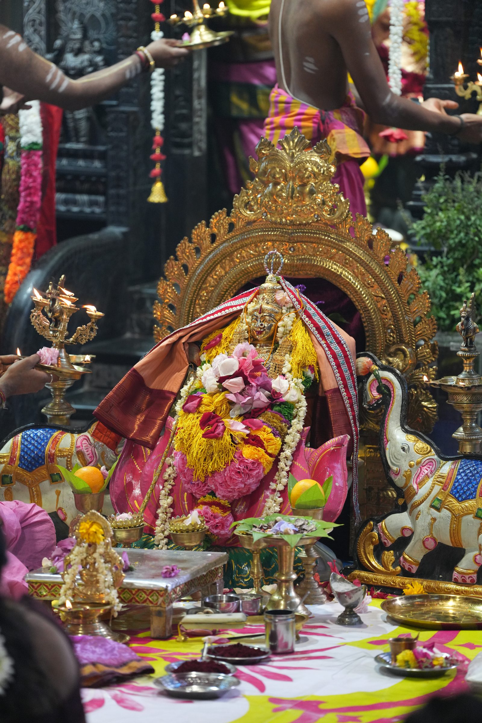 Varaluxumi Viratham 2026 photo