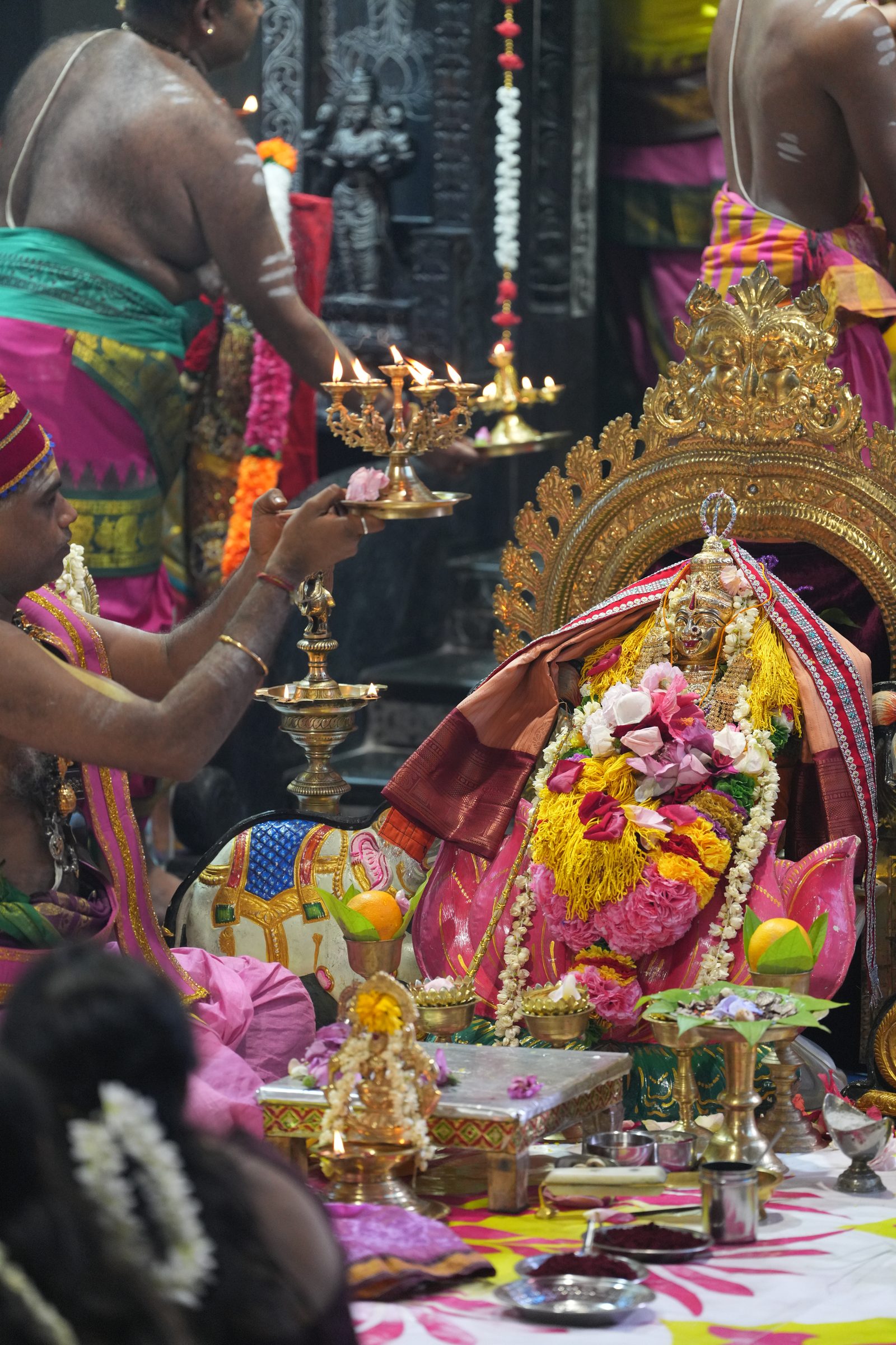 Varaluxumi Viratham 2026 photo