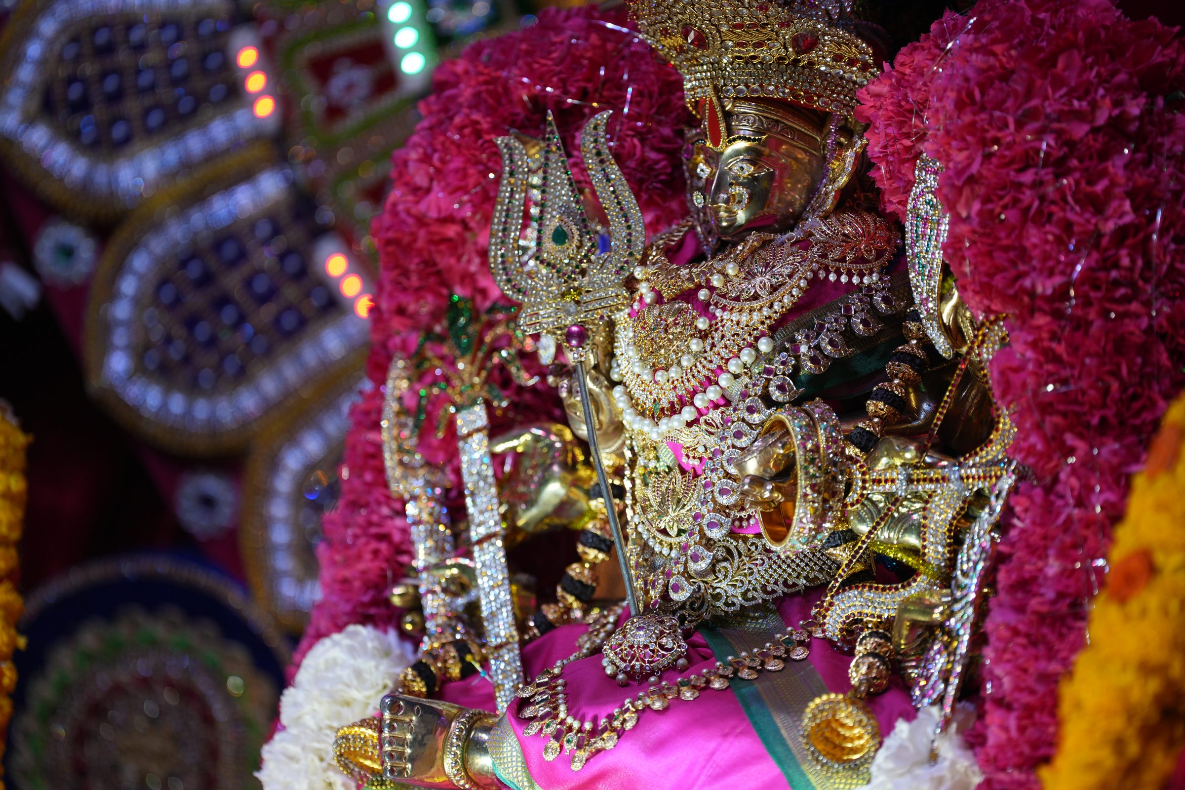 Varaluxumi Viratham 2026 photo