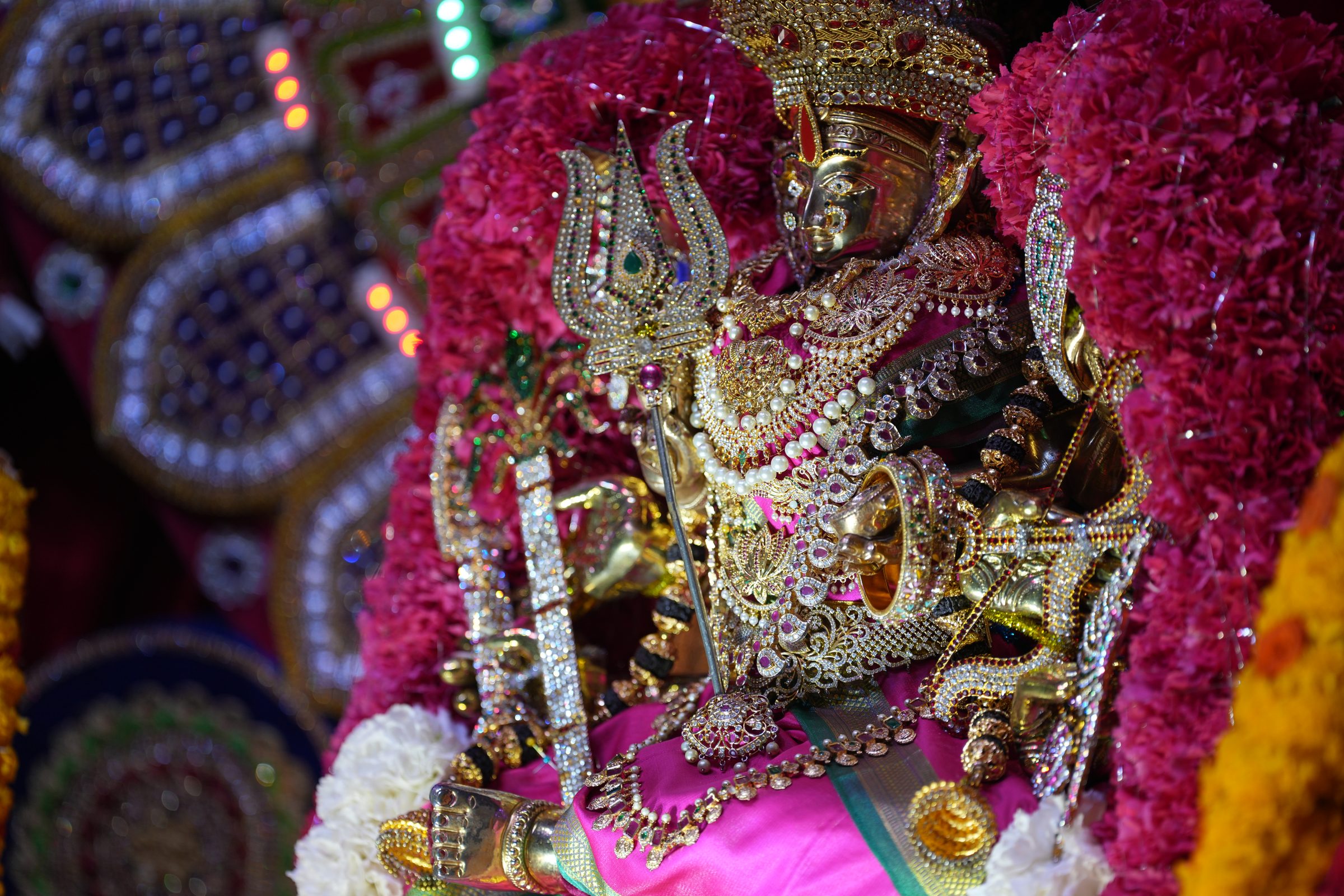 Varaluxumi Viratham 2026 photo