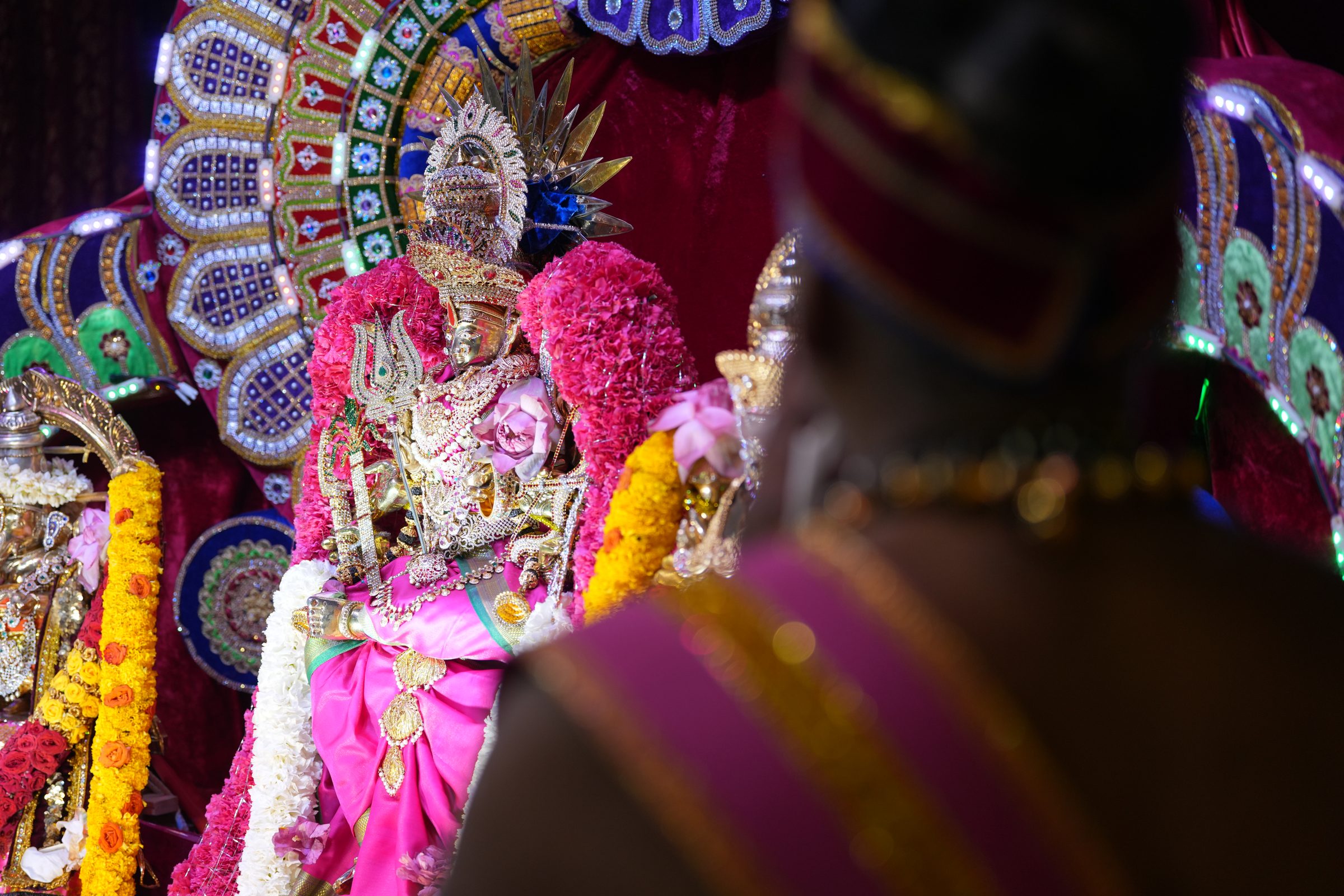 Varaluxumi Viratham 2026 photo