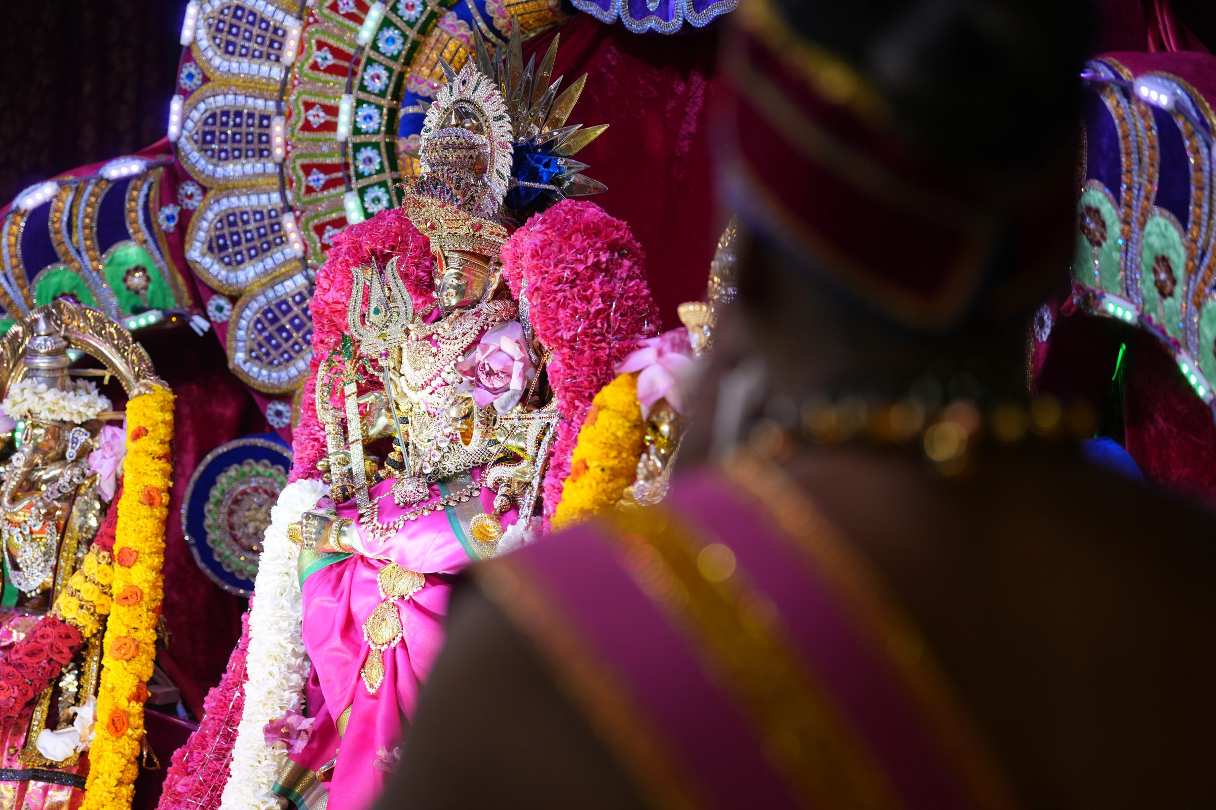 Varaluxumi Viratham 2026 photo