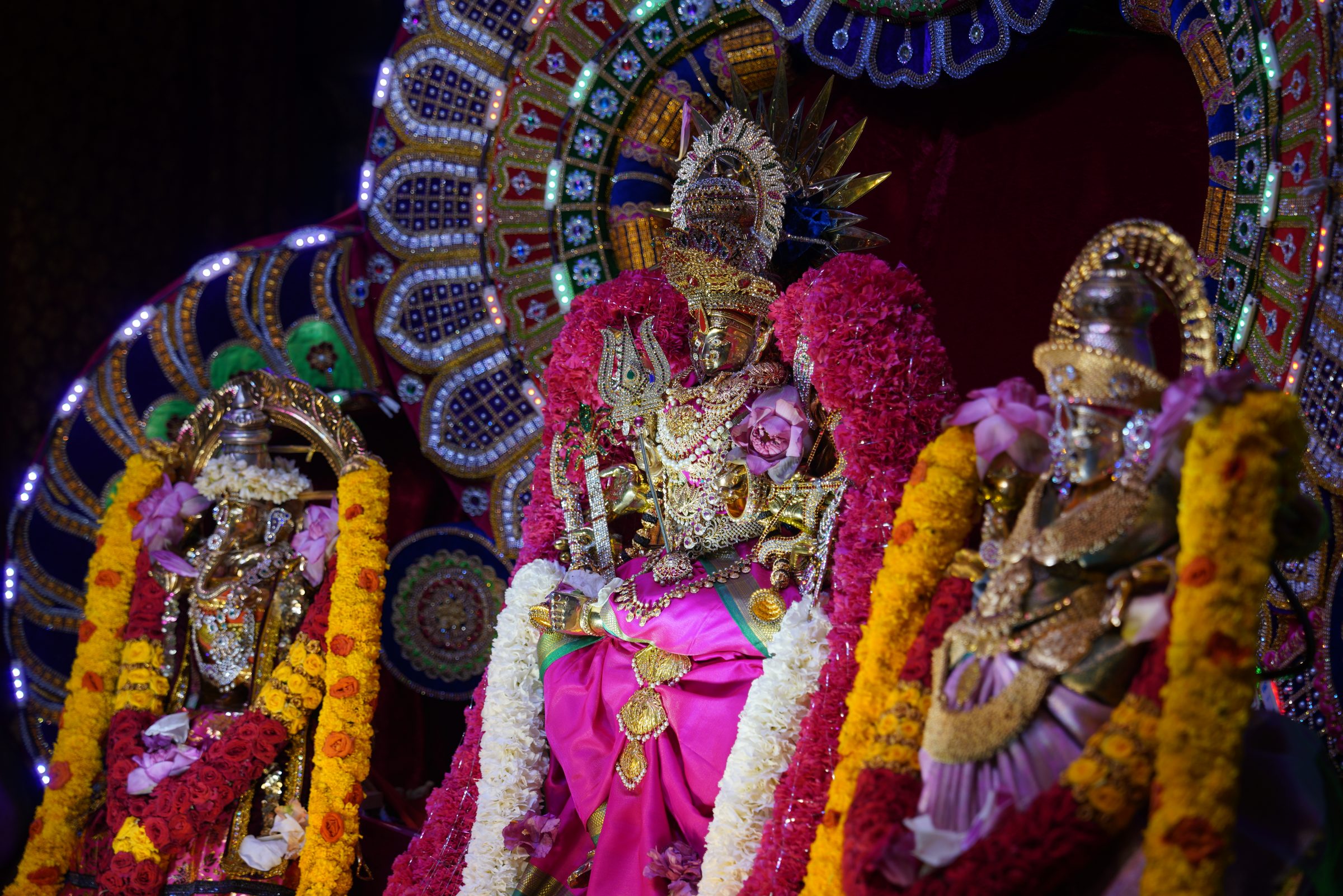 Varaluxumi Viratham 2026 photo