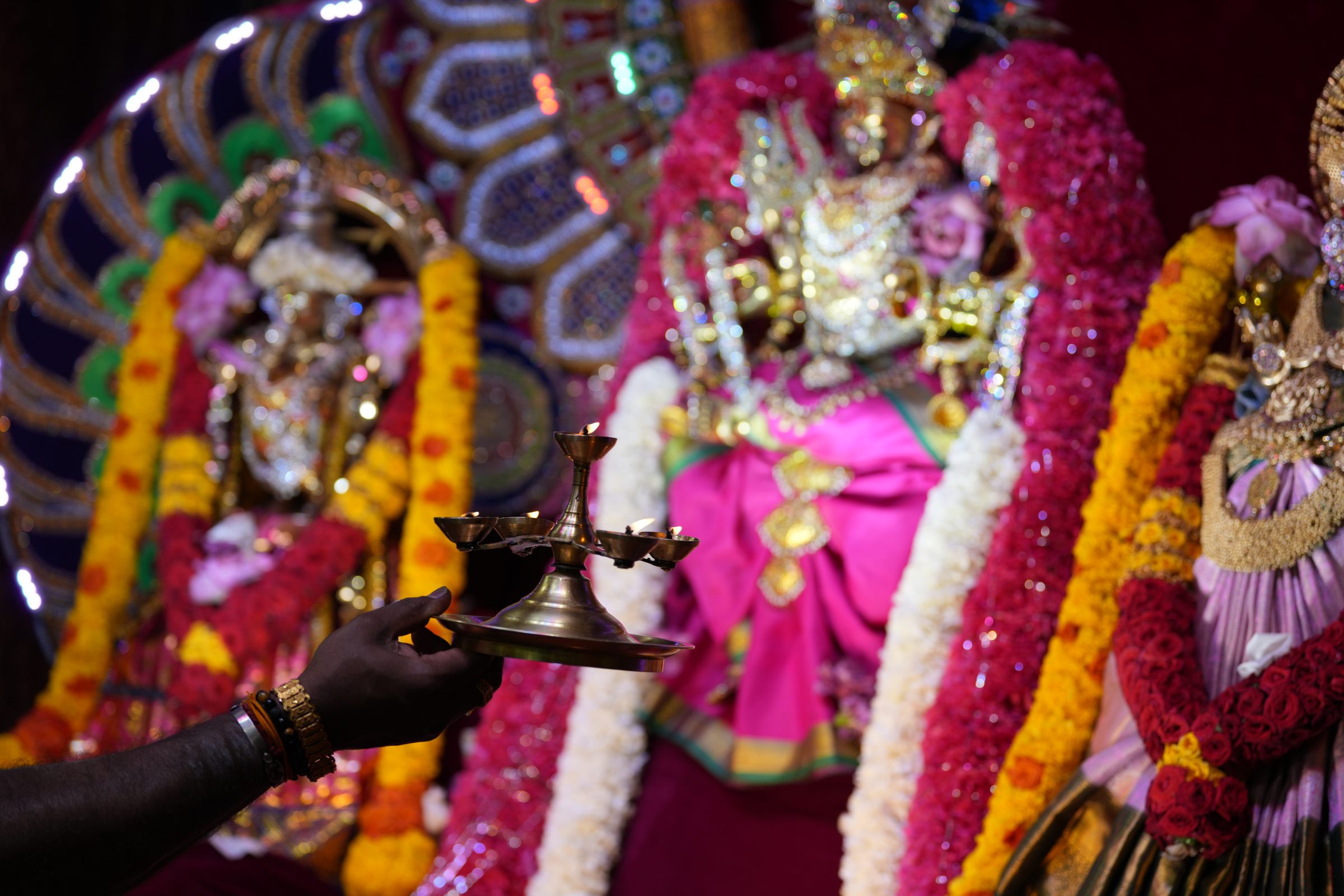 Varaluxumi Viratham 2026 photo