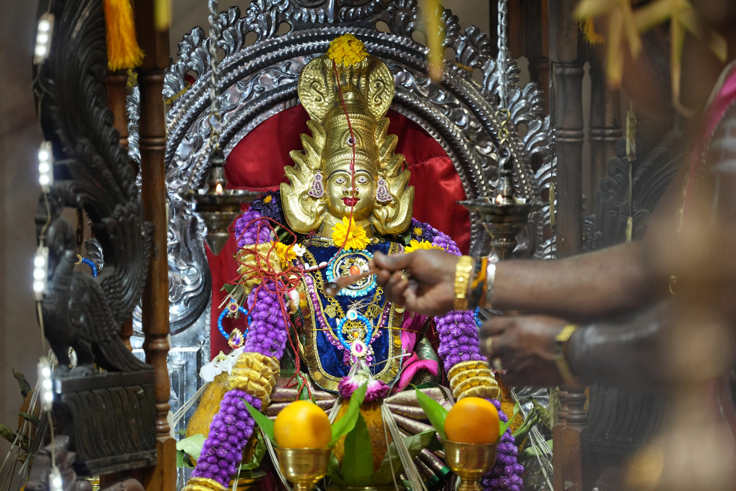 Varaluxumi Viratham 2026 photo