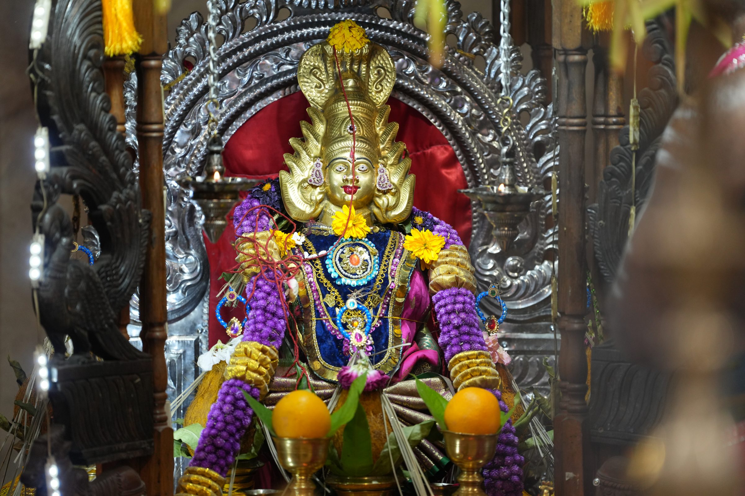 Varaluxumi Viratham 2026 photo
