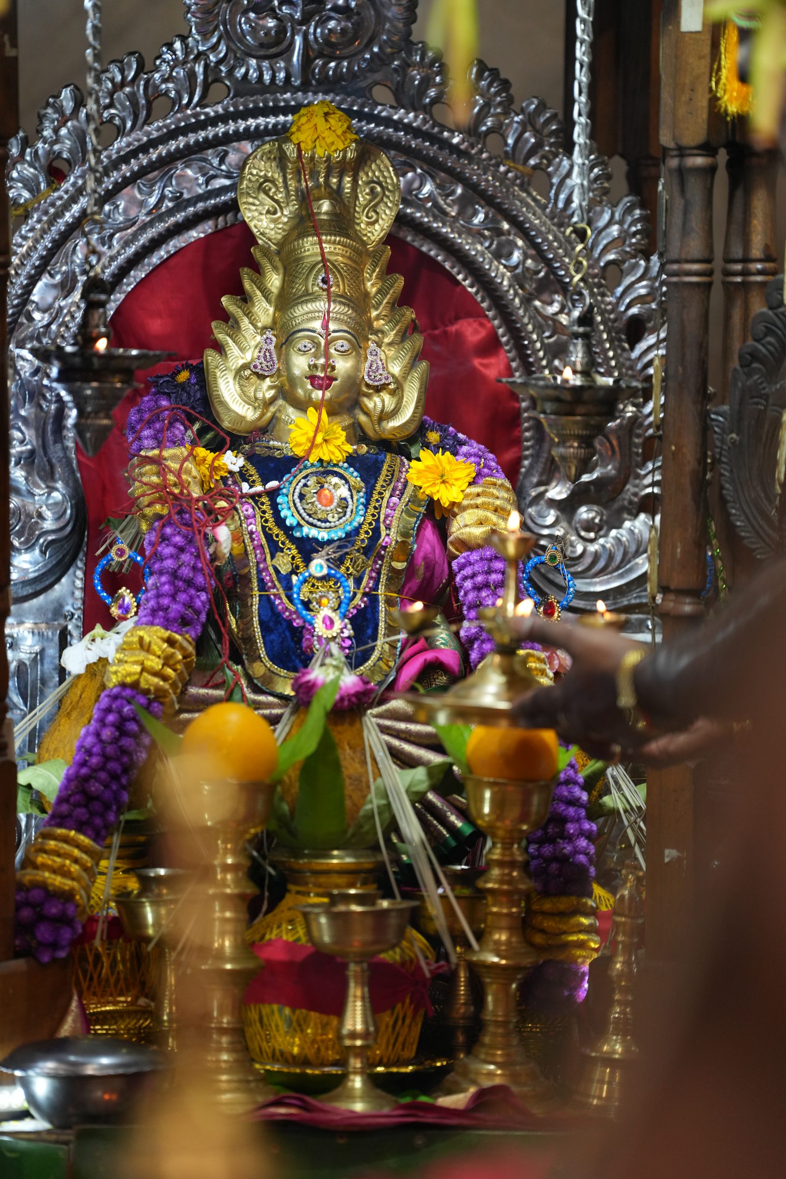 Varaluxumi Viratham 2026 photo