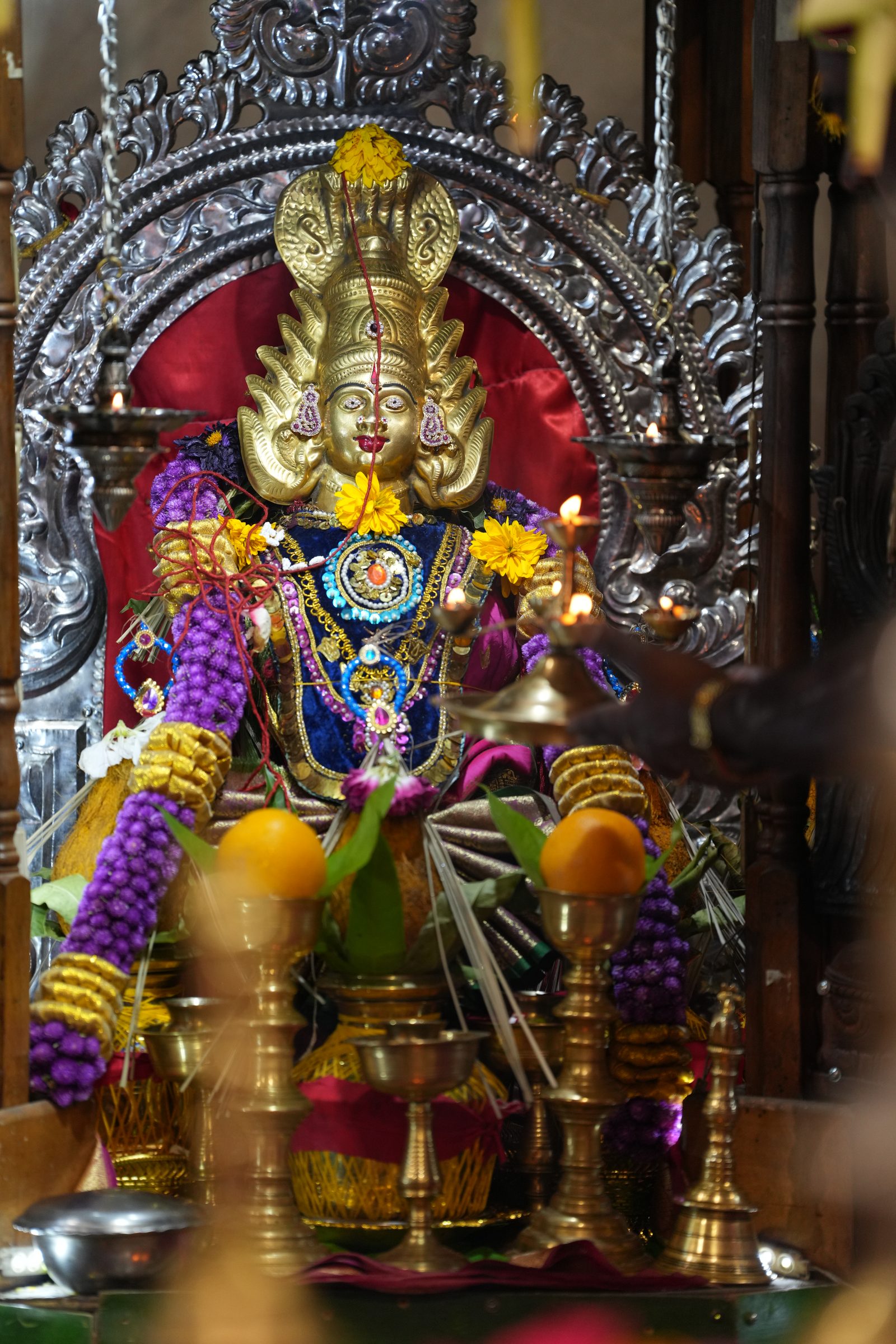 Varaluxumi Viratham 2026 photo