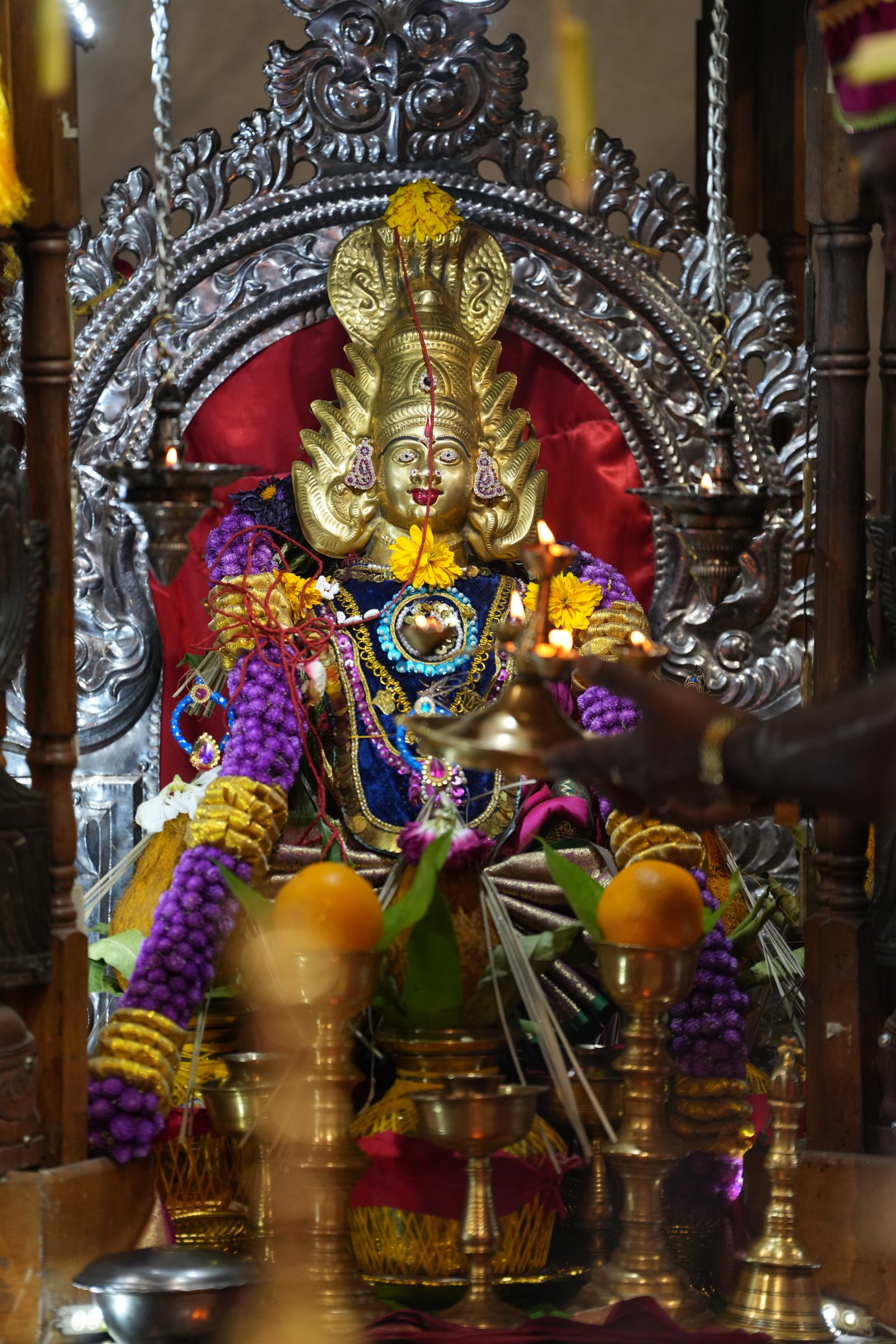 Varaluxumi Viratham 2026 photo