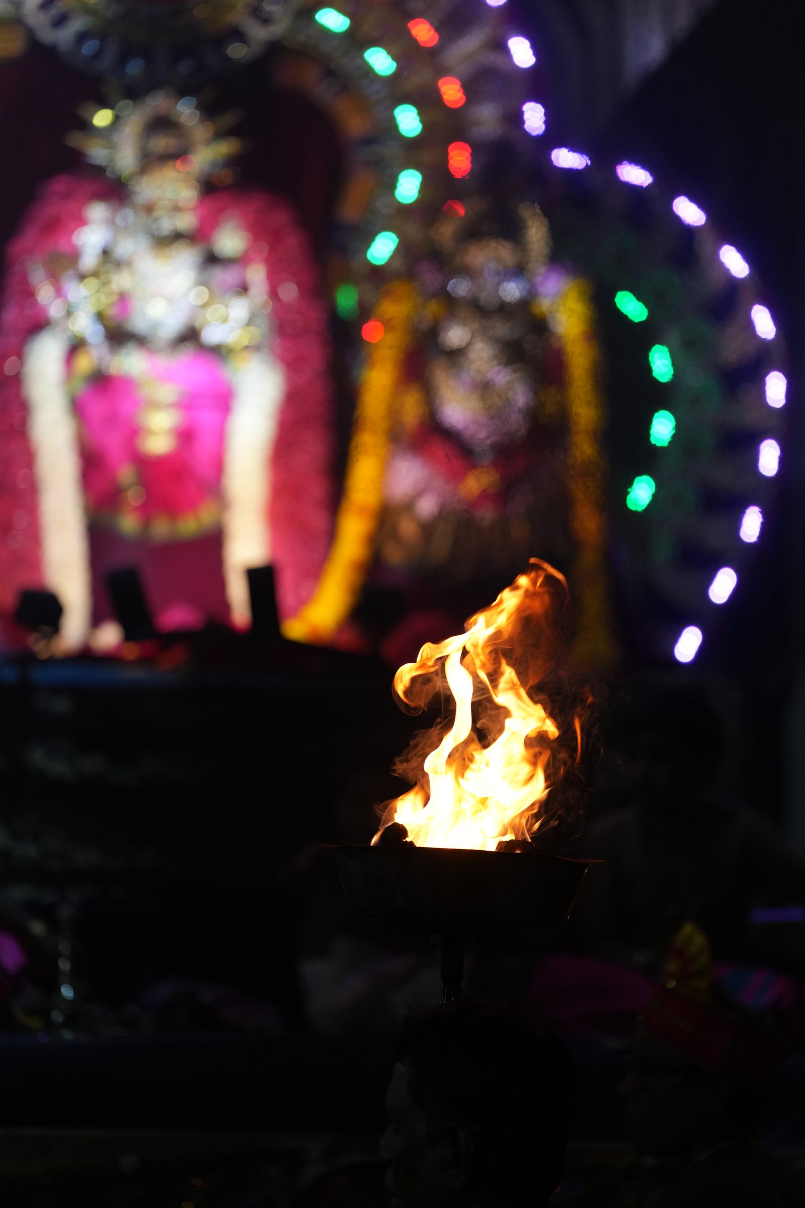 Varaluxumi Viratham 2026 photo